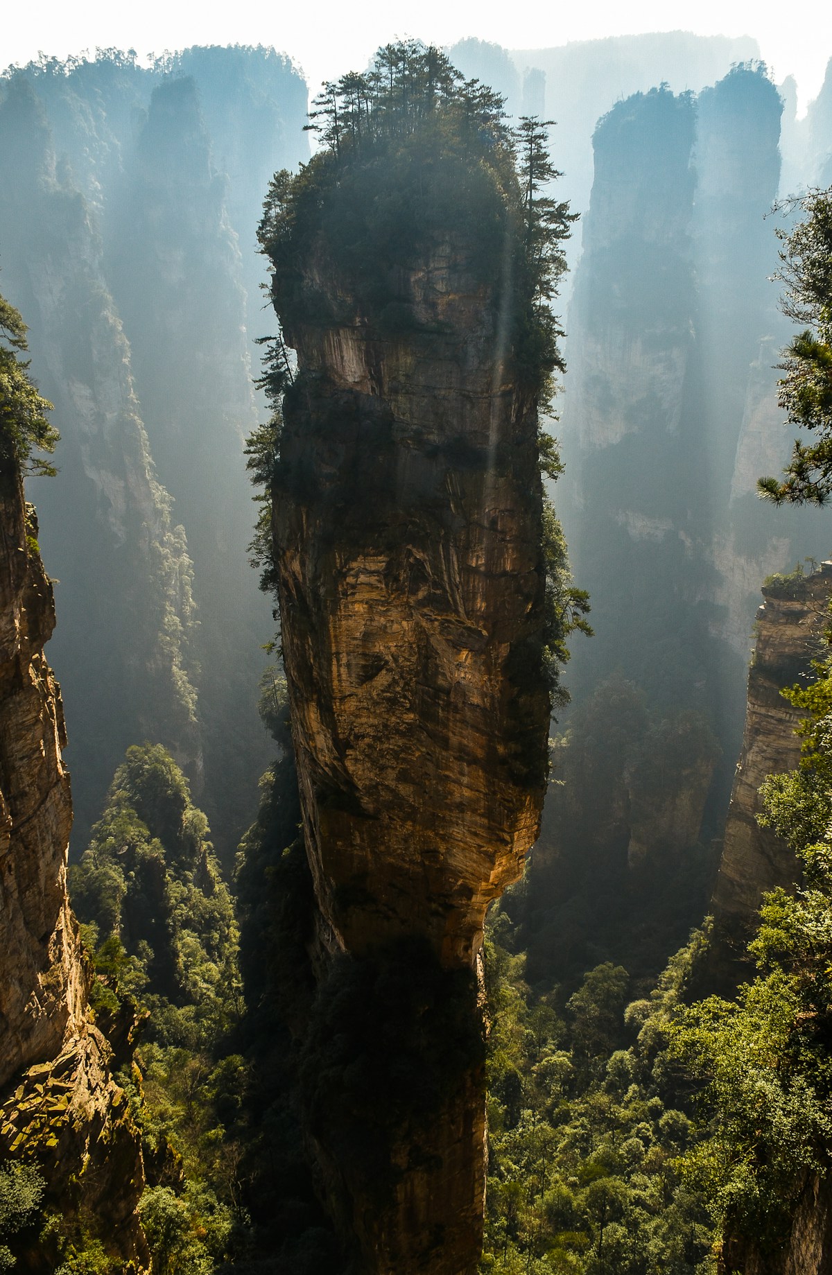 Misty Zhangjiajie peaks perfect for landscape photography