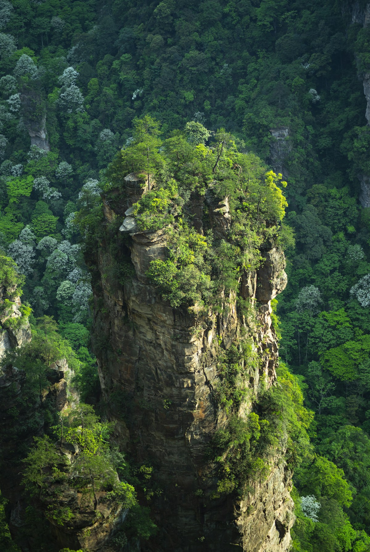 Aerial view of Zhangjiajie National Park entrance area